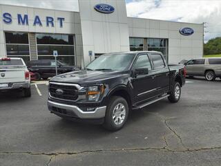 2023 Ford F-150 for sale in Malvern AR