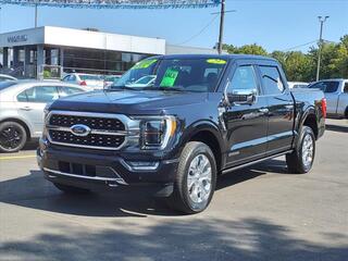 2021 Ford F-150 for sale in Woodhaven MI