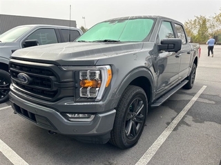 2021 Ford F-150 for sale in Greeneville TN