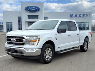 2022 Ford F-150 for sale in Fowlerville MI