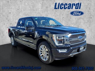 2023 Ford F-150 for sale in Watchung NJ