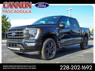 2023 Ford F-150 for sale in Orange TX