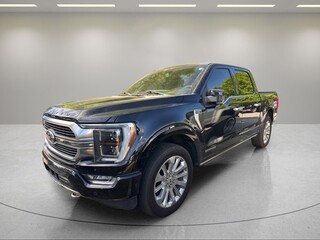 2023 Ford F-150 for sale in Greenville SC