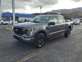 2023 Ford F-150 for sale in Pounding Mill VA