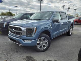 2023 Ford F-150 for sale in Martinsburg WV