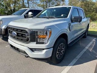 2023 Ford F-150 for sale in Greeneville TN