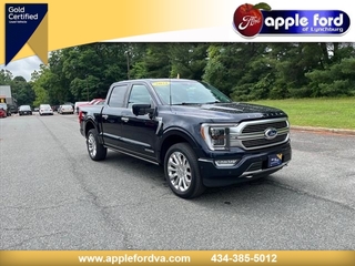 2021 Ford F-150 for sale in Danville VA