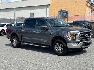 2023 Ford F-150 for sale in Canton NC