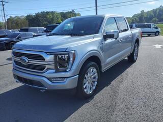 2021 Ford F-150 for sale in Malvern AR