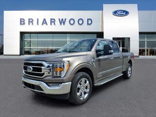 2022 Ford F-150 for sale in Saline MI