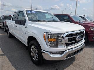 2023 Ford F-150 for sale in Bowling Green KY