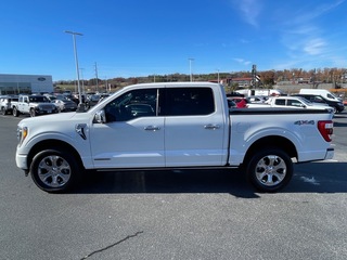 2023 Ford F-150 for sale in Dandridge TN