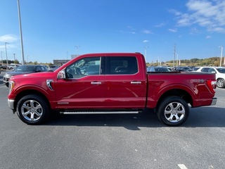 2023 Ford F-150 for sale in Dandridge TN