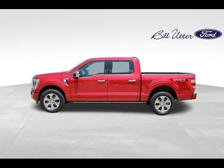 2021 Ford F-150 for sale in Denton TX