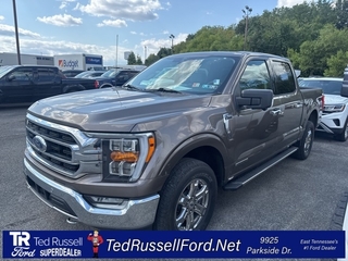 2021 Ford F-150 for sale in Knoxville TN