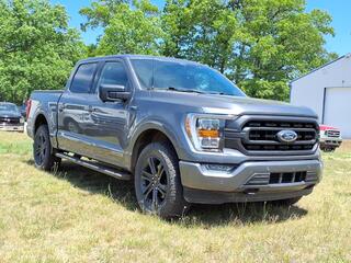 2021 Ford F-150 for sale in Whitehall MI