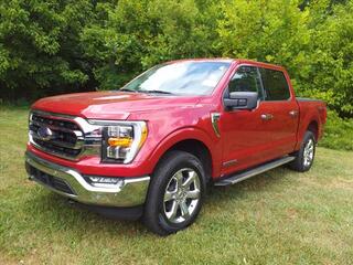 2022 Ford F-150 for sale in Manchester TN