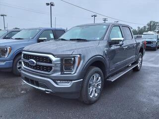 2023 Ford F-150 for sale in Martinsburg WV