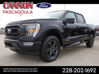 2023 Ford F-150 for sale in Orange TX