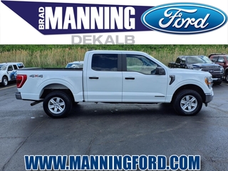 2022 Ford F-150 for sale in Des Plaines IL
