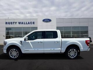 2023 Ford F-150 for sale in Dandridge TN