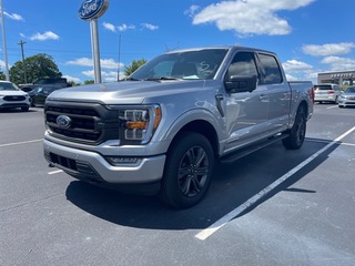 2023 Ford F-150 for sale in Dandridge TN