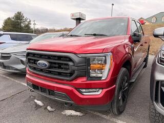 2021 Ford F-150 for sale in Mount Hope WV
