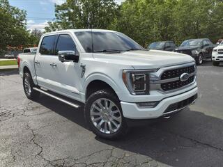 2023 Ford F-150 for sale in Clarksville TN