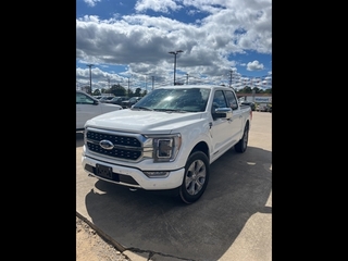 2023 Ford F-150 for sale in Bowling Green KY