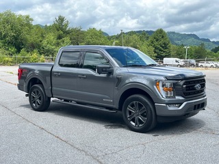 2023 Ford F-150 for sale in Canton NC