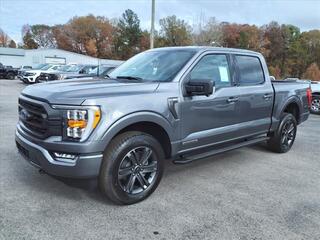 2023 Ford F-150 for sale in Hartselle AL