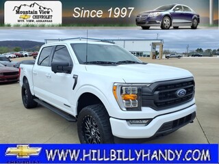 2023 Ford F-150 for sale in Mountain View AR