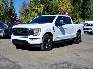 2021 Ford F-150 for sale in Belleville MI