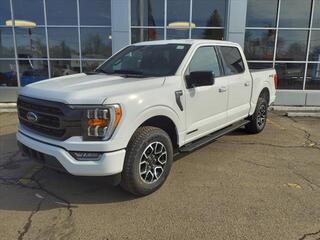 2023 Ford F-150 for sale in Fredonia NY