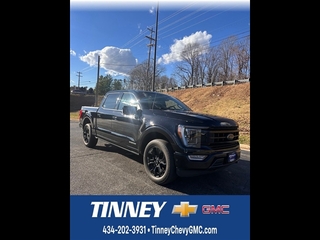 2023 Ford F-150 for sale in Lynchburg VA