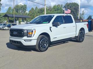 2023 Ford F-150 for sale in Belleville MI