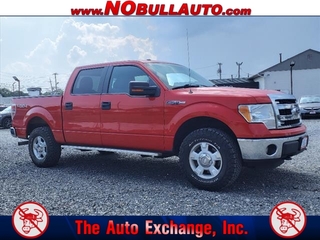 2013 Ford F-150 for sale in Lakewood NJ