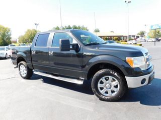 2013 Ford F-150 for sale in Clarksville TN