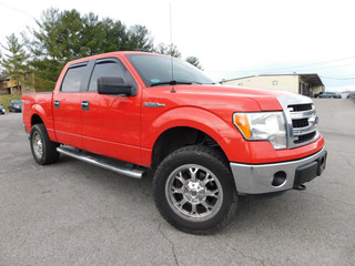 2013 Ford F-150 for sale in Clarksville TN