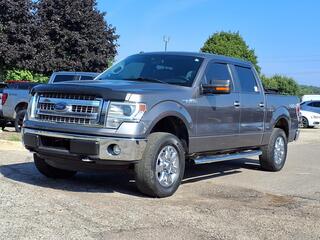 2014 Ford F-150 for sale in Farmington Hills MI
