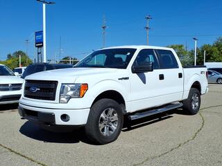 2014 Ford F-150 for sale in Ann Arbor MI
