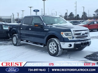 2014 Ford F-150 for sale in Flat Rock MI