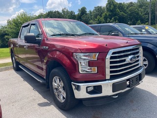 2015 Ford F-150 for sale in Knoxville TN