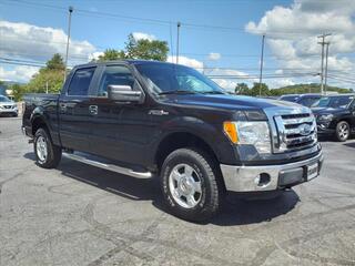 2012 Ford F-150 for sale in Duncansville PA