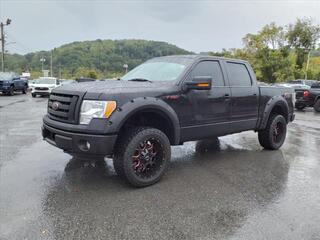 2014 Ford F-150 for sale in Johnson City TN