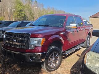 2014 Ford F-150 for sale in Knoxville TN