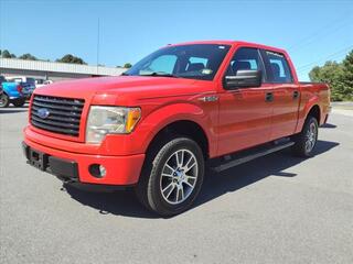 2014 Ford F-150 for sale in Abingdon VA