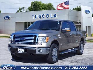 2012 Ford F-150 for sale in Tuscola IL