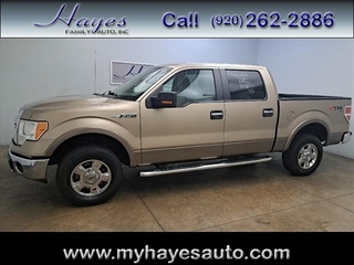 2013 Ford F-150 for sale in Watertown WI