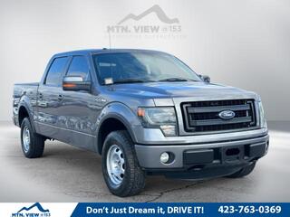 2014 Ford F-150 for sale in Chattanooga TN